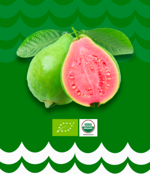 Pink Guava Juice or Puree