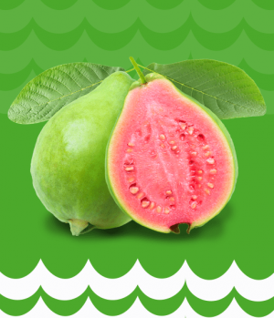 Pink Guava Juice or Puree